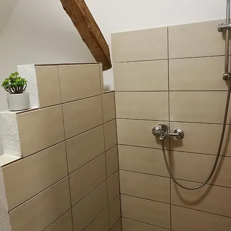Alloggio in famiglia Jezek Lubiana